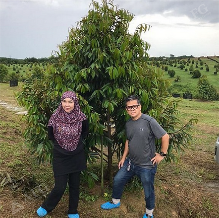 Agroforestry Group